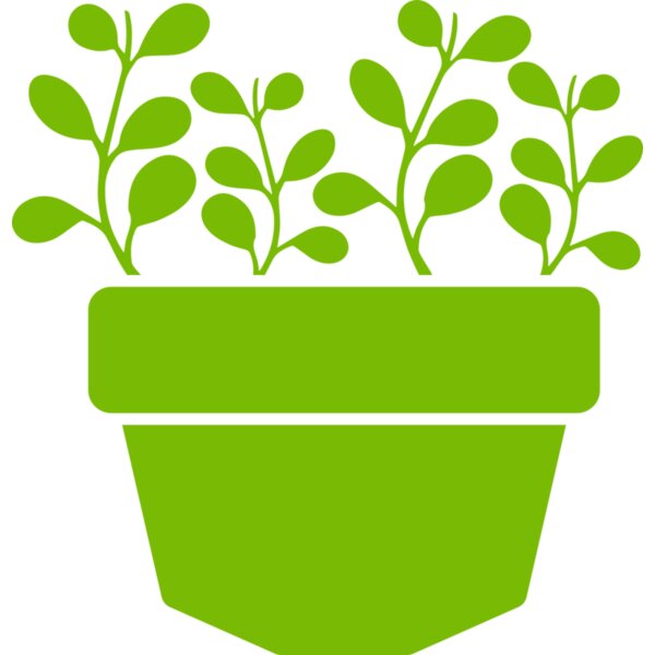 Succulent Plant 3 Thumbnail
