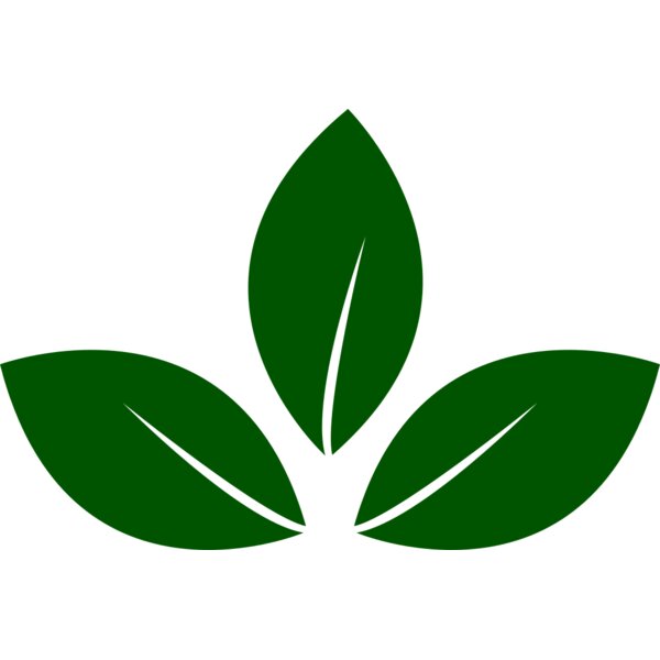 Leaves 5 Thumbnail
