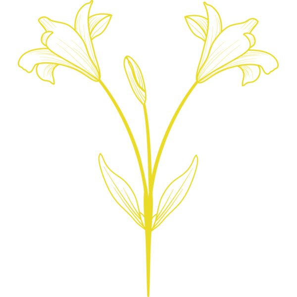 Flowers 9 Thumbnail