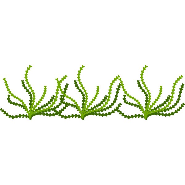 Sea Plant Thumbnail